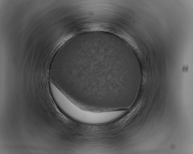 X0000097890793200804041309