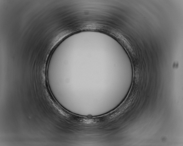 X0000097890794200804041309