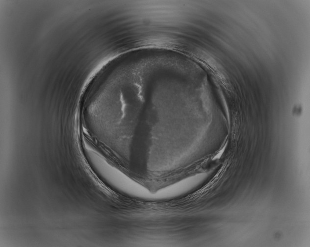 X0000097890796200804041309