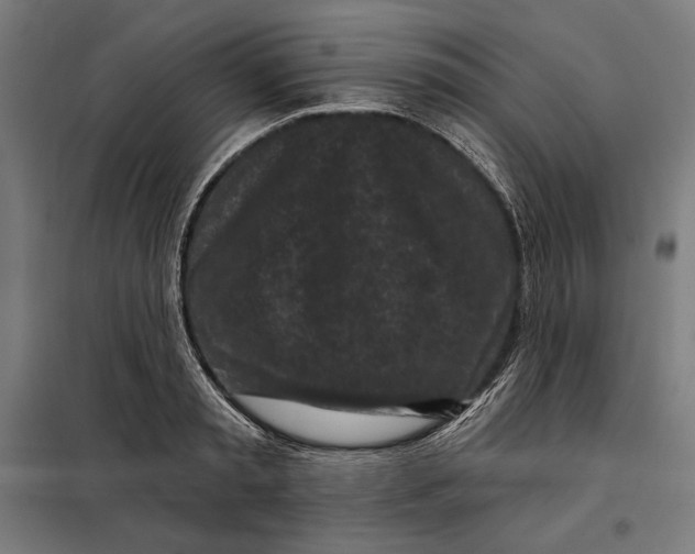 X0000097890797200804041309