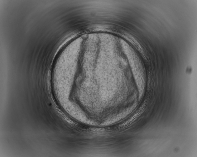 X0000097890798200804041309