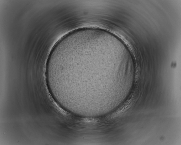 X0000097890799200804041309