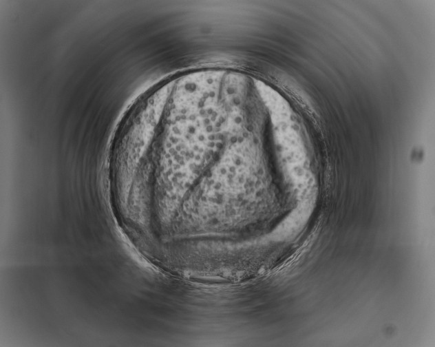 X0000097890800200804041309