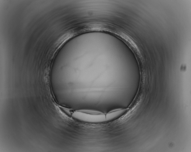 X0000097890801200804041308