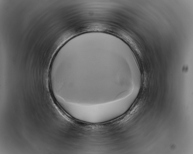 X0000097890802200804041308