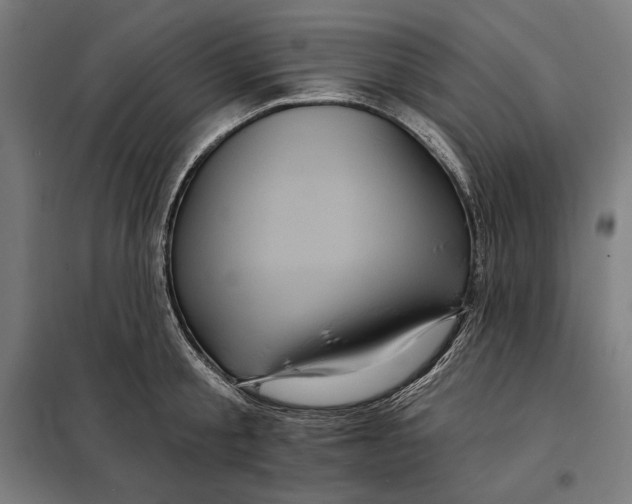 X0000097890805200804041308