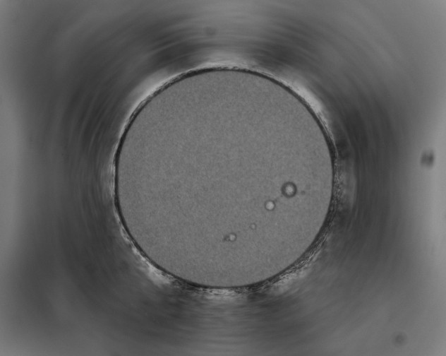 X0000097890807200804041308