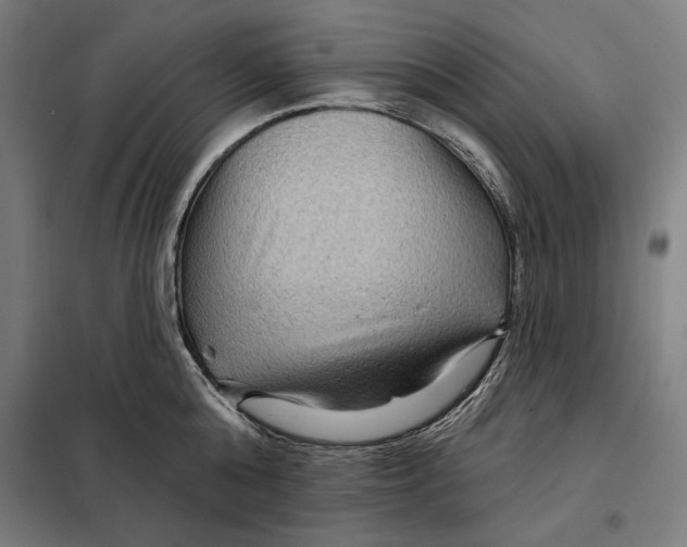 X0000097890808200804041308