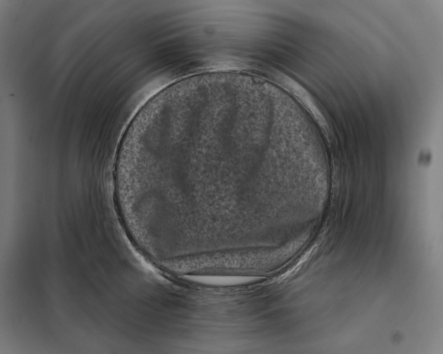 X0000097890810200804041308