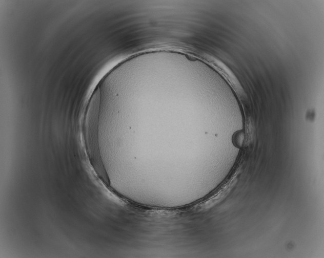 X0000097890812200804041308