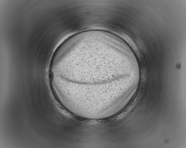 X0000097890814200804041308