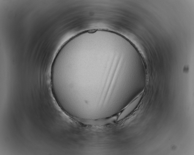 X0000097890815200804041308