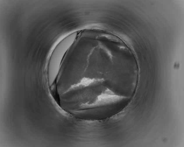 X0000097890816200804041308