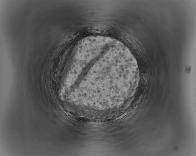 X0000097890817200804041308