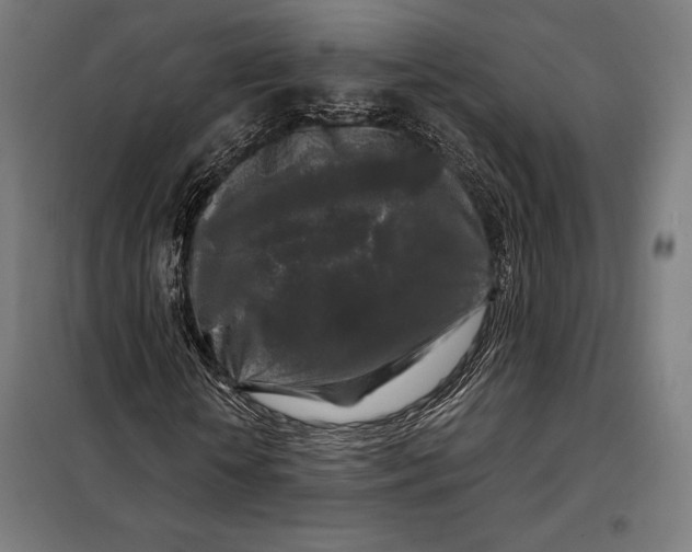 X0000097890818200804041308