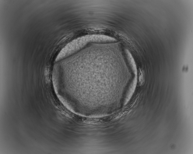 X0000097890819200804041308