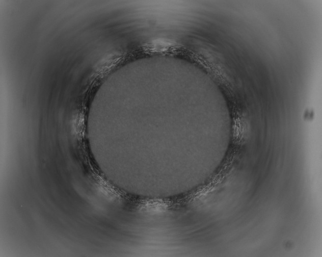 X0000097890820200804041308