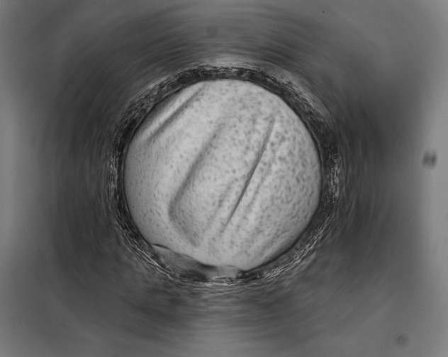 X0000097890821200804041308