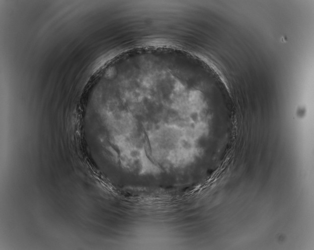 X0000097890823200804041308