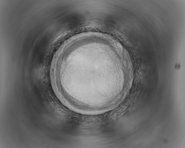 X0000097890824200804041308