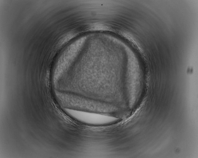 X0000097890825200804041308