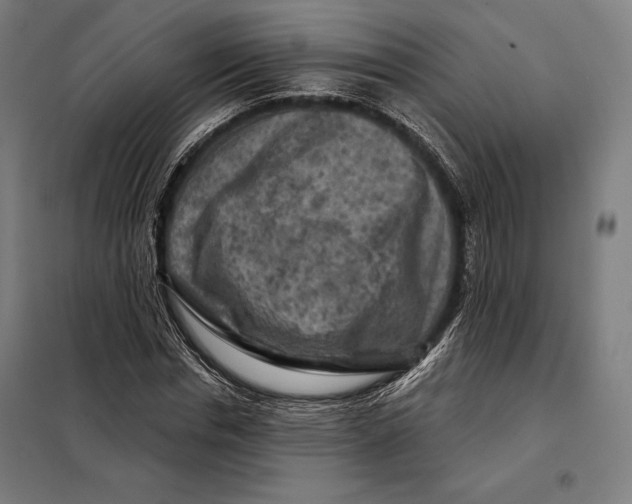 X0000097890826200804041308