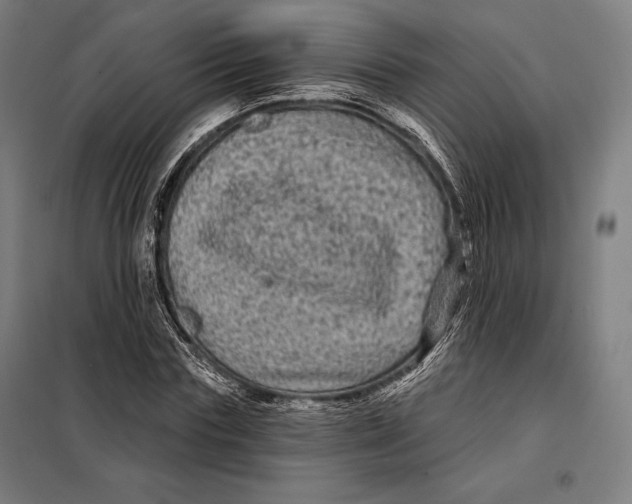 X0000097890827200804041308