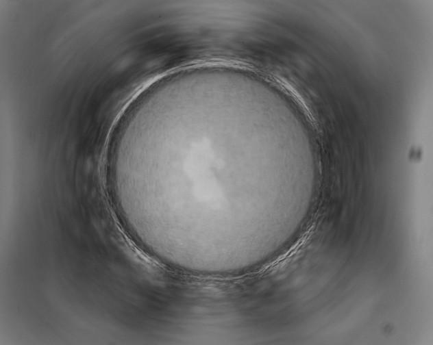 X0000097890828200804041308