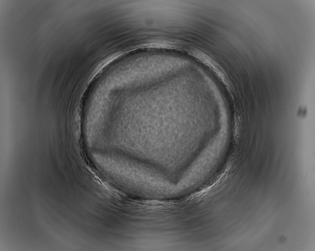 X0000097890829200804041308