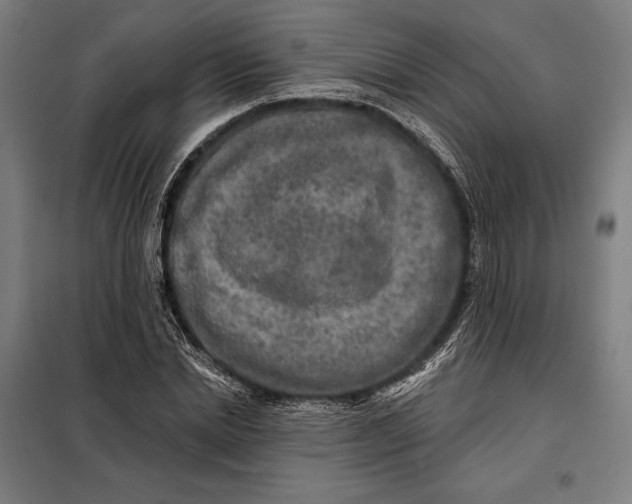 X0000097890830200804041308