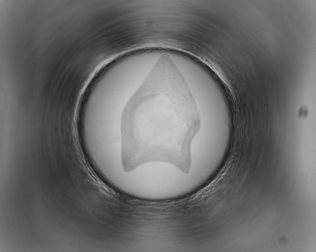 X0000097890832200804041308