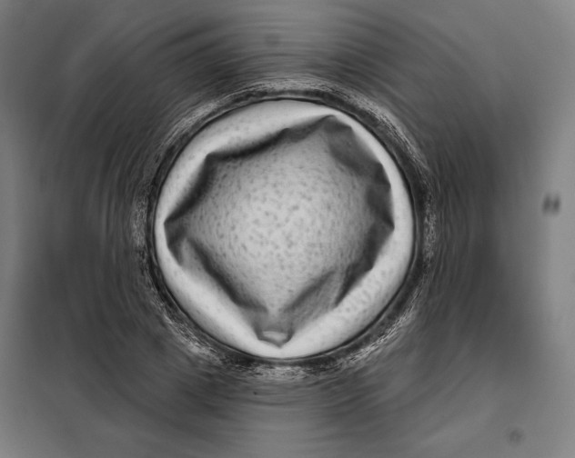 X0000097890833200804041308