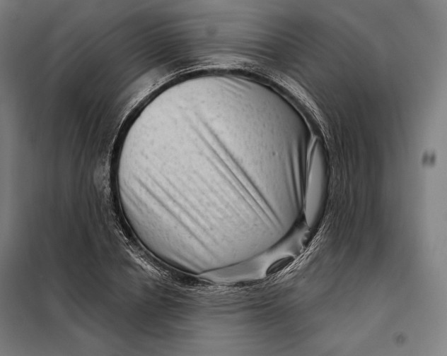 X0000097890834200804041308