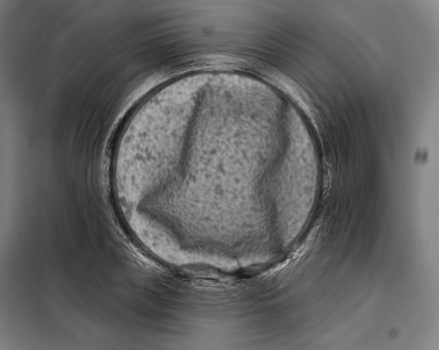 X0000097890835200804041308