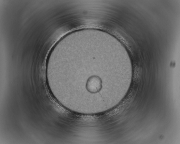 X0000097890836200804041308