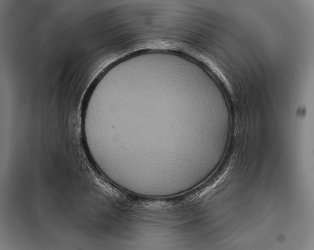 X0000097890837200804041308