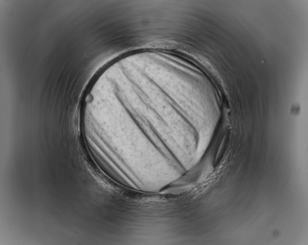 X0000097890838200804041308