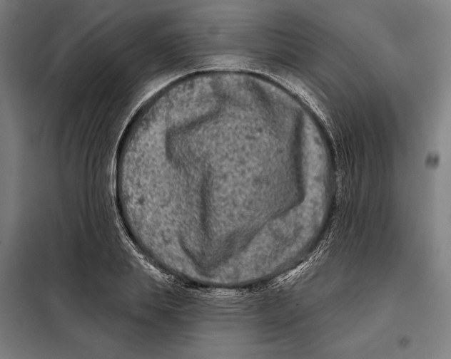 X0000097890839200804041308