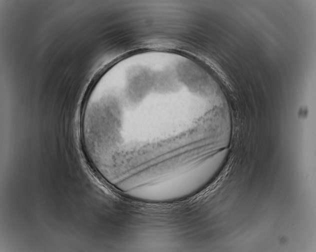 X0000097890840200804041308