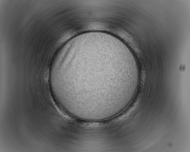 X0000097890841200804041308