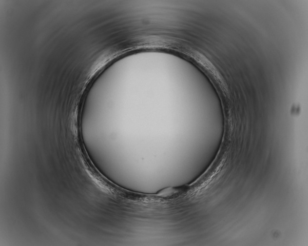 X0000097890842200804041308