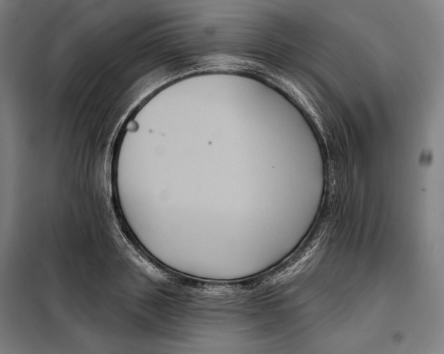 X0000097890843200804041308