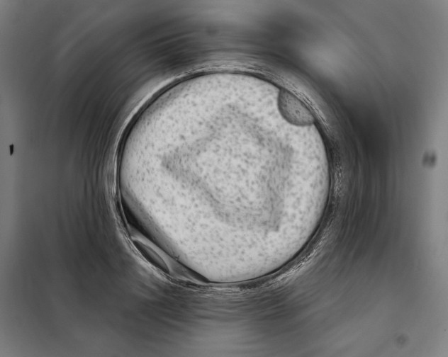 X0000097890844200804041308