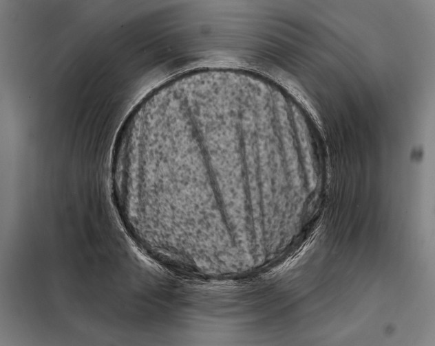 X0000097890845200804041308