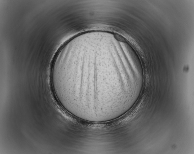 X0000097890846200804041308