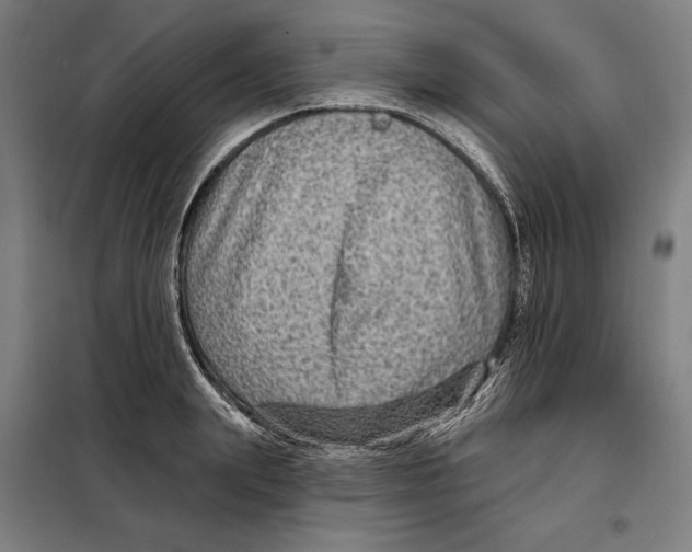 X0000097890847200804041308