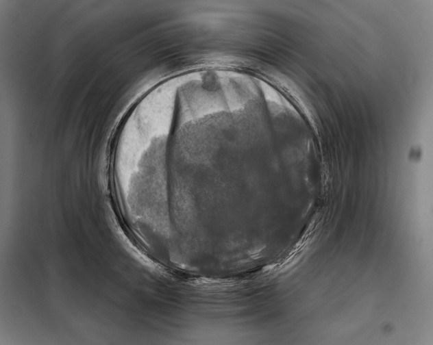 X0000097890851200804041308