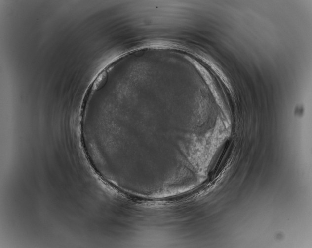 X0000097890853200804041308