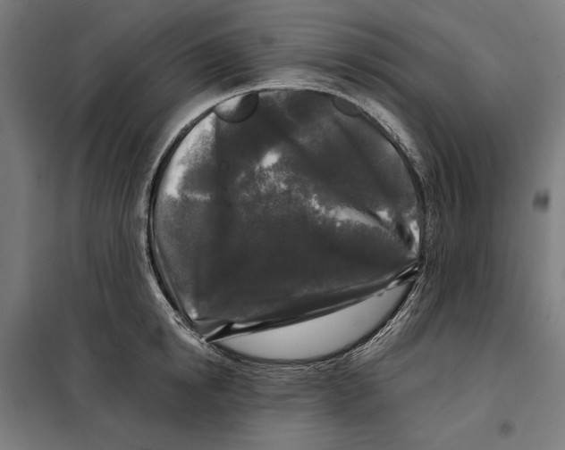 X0000097890854200804041308