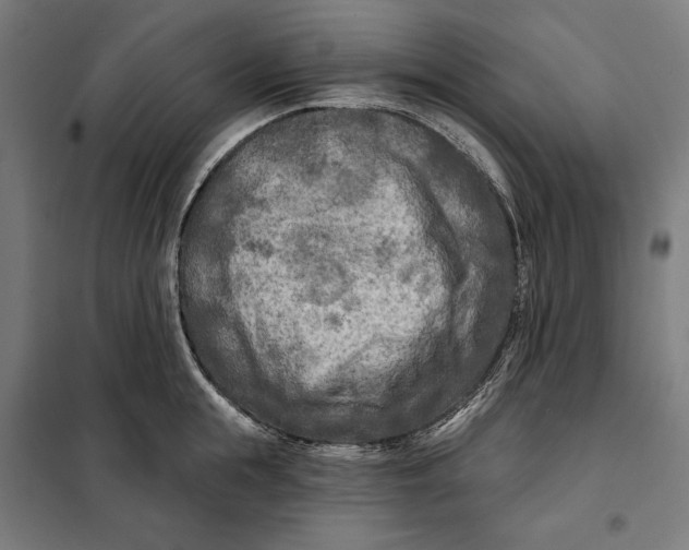 X0000097890855200804041308